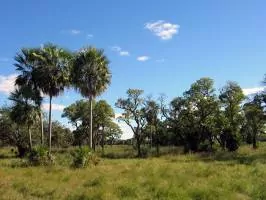 Chaco Boreal Paraguay