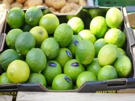 Invest in Panama Limes