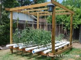 Living self-sufficient with a aquaponic system and farm in a box