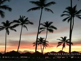 Dominican Republic beach with palm trees and sunset