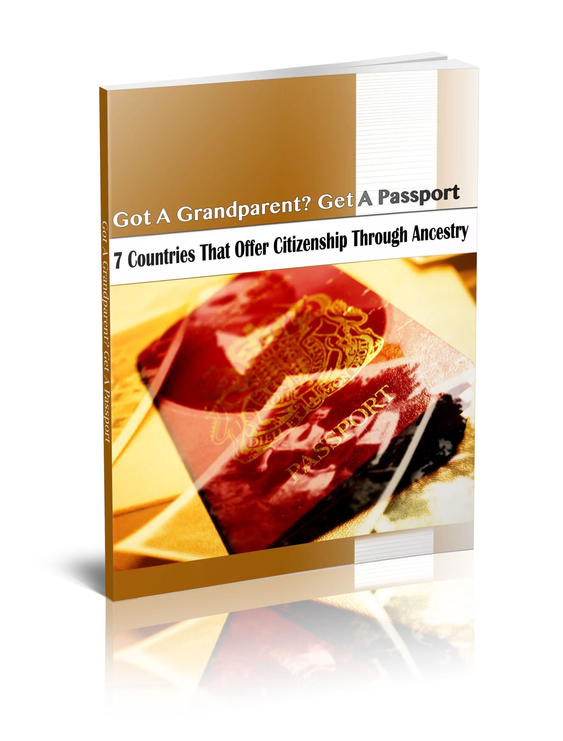 Dual Citizenship Report Dual Citizenship Report