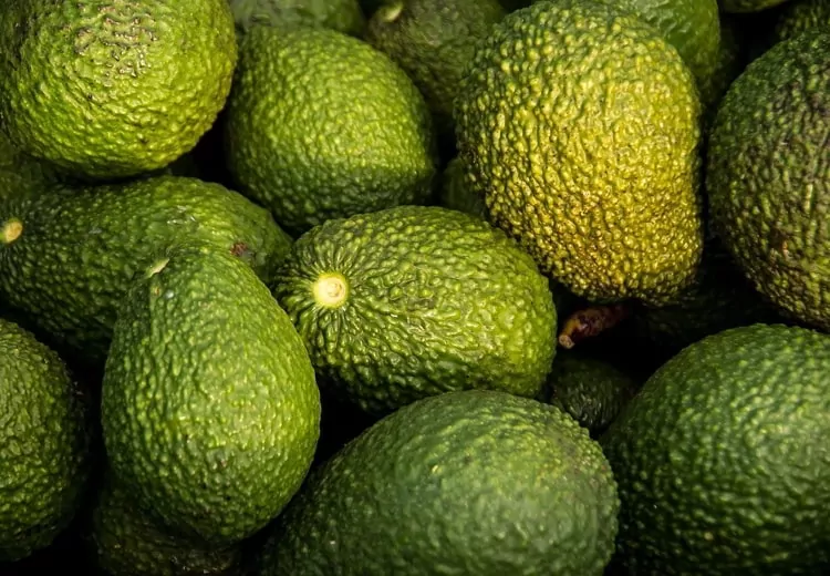 Avocados