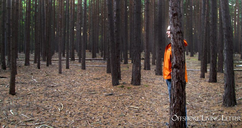 Man in Bright Orange Jacket Hiding Behind A Tree