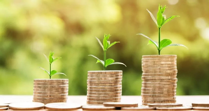 Stacks of coins growing in size, each with a larger plant growing out of them.