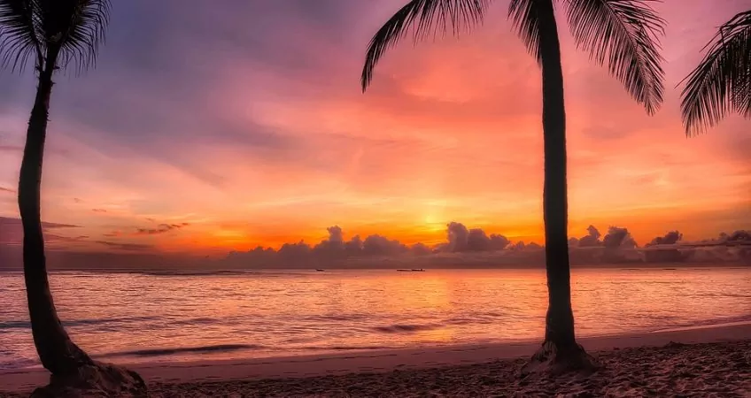 dominican republic sunrise. color gradient sky from orange to purple, palm trees and sand. A look at the ocean sunrise.