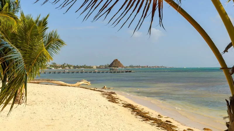 ambergris caye view down the beach