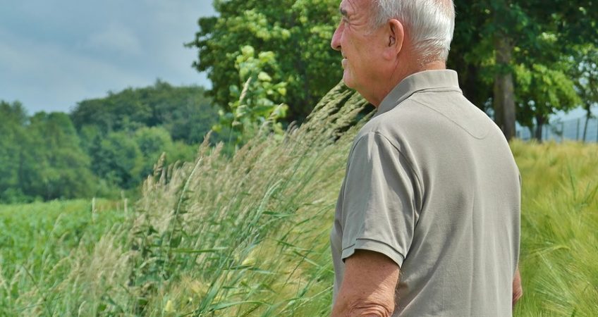 happy looking senior man looks out into the distance in beautiful green countryside