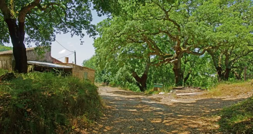 A farm house in Portual