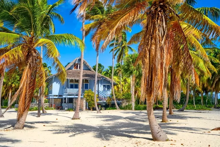 A home in Saona island, Dominican Republic with palm trees