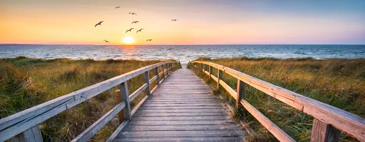 Beautiful dunes beach at sunset, North Sea, Germany