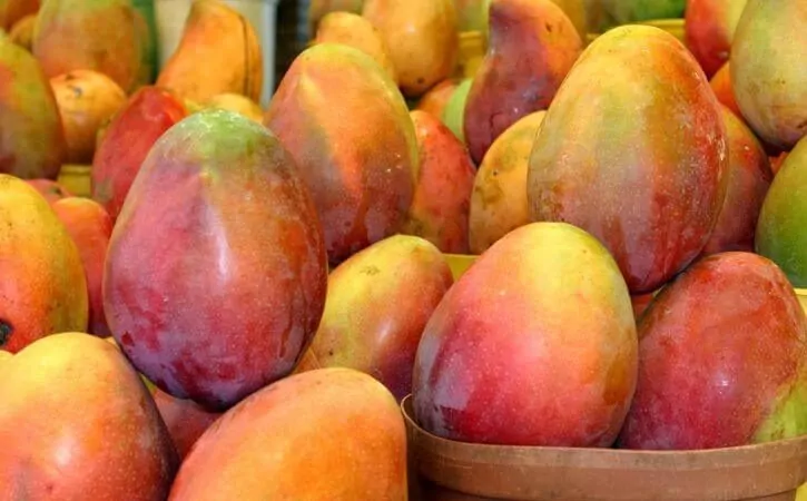 orange mangos in a basket