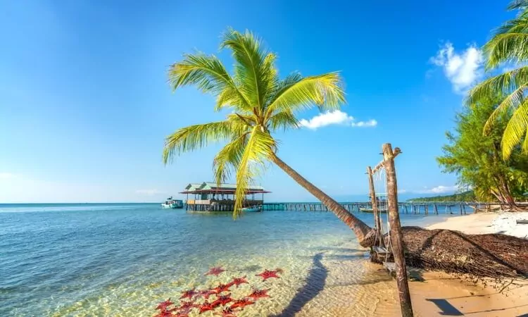 Seascape with tropical palms on beautiful sandy beach in Phu Quoc island, Vietnam