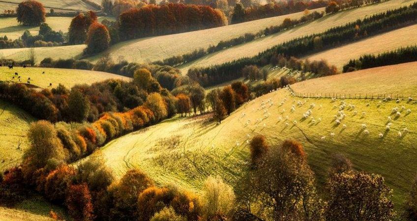 Countryside landscape