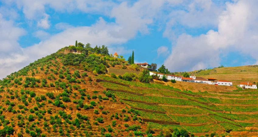 A Portugal farm on top of a hill