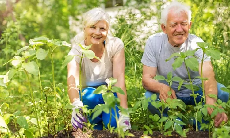 Happy healthy seniors gardening
