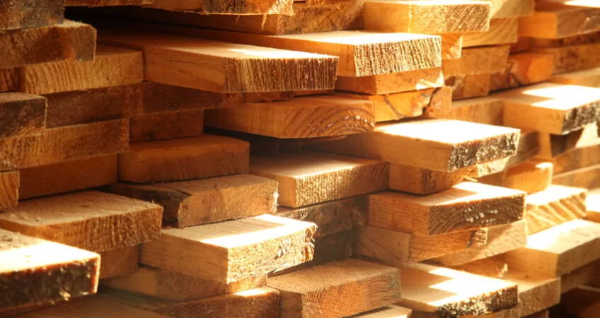 timber investment in colombia
