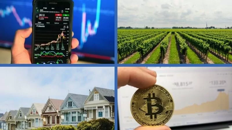 Diversified investments including stocks, forestry investment, real estate and bitcoin