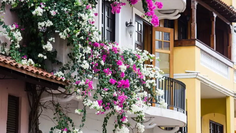 Casco Viejo, Panama City, Panama.