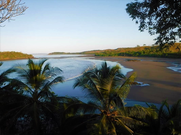 Los Islotes beach with palm trees