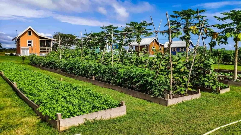 Carmelita Gardens, a sustainable tiny home community in Belize