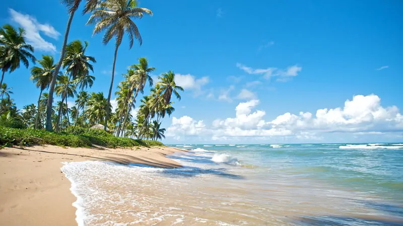 Paradise beach in Praia do Forte, Salvador de Bahia, Brazil.