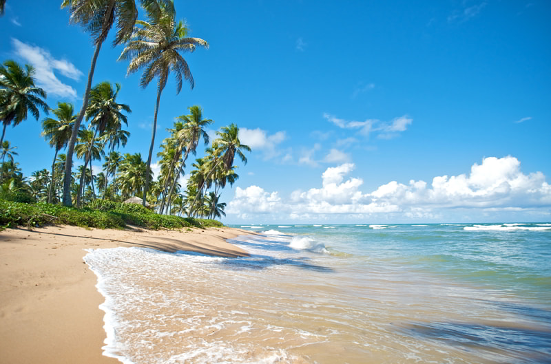 Paradise beach in Praia do Forte, Salvador de Bahia, Brazil.