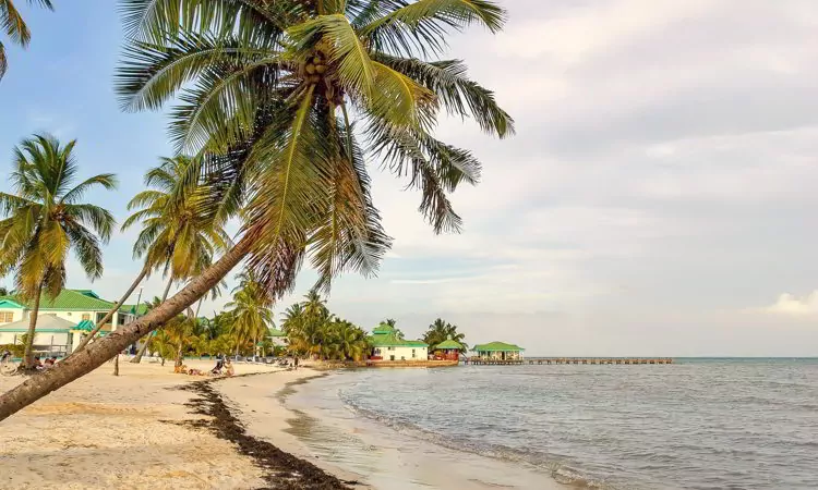 A beach in Belize