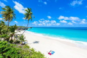 A white sand beach in Barbados