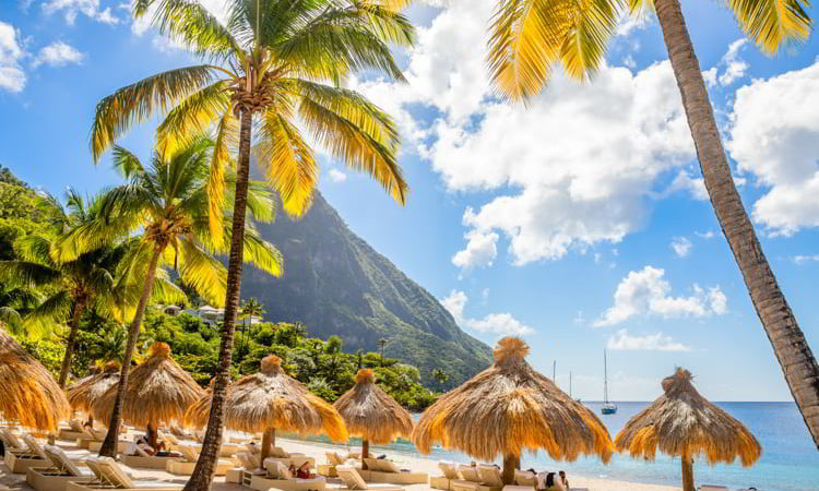 Caribbean beach with palms and straw umbrellas on the shore with Gros Piton mountain in the background, Sugar beach, Saint Lucia