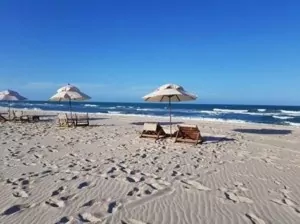 A white sand beach in Brazil