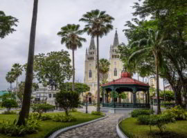 Seminario Park (Iguanas Park) and Metropolitan Cathedral in Guayaquil, Ecuador