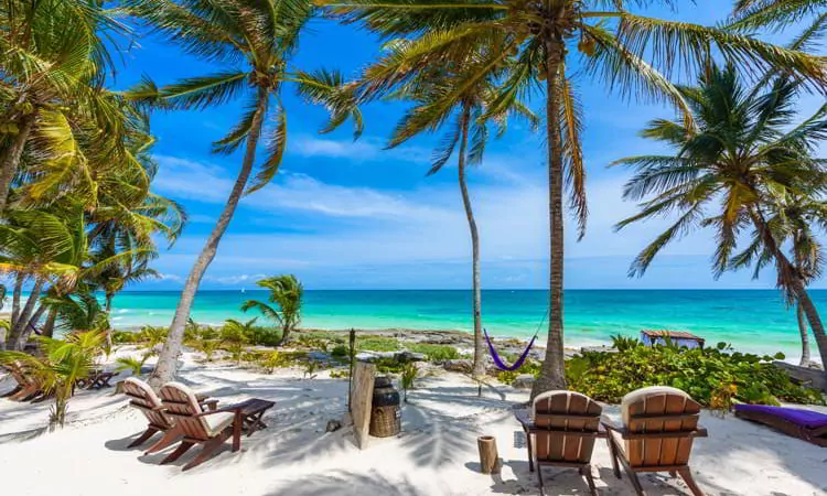 Chairs under the palm trees on paradise beach at tropical Resort. Riviera Maya