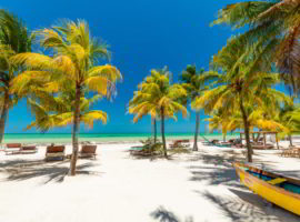 Tropical beach setting on Isla Holbox, Mexico