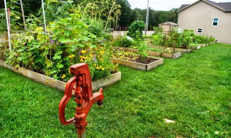 Community urban garden next to residential houses