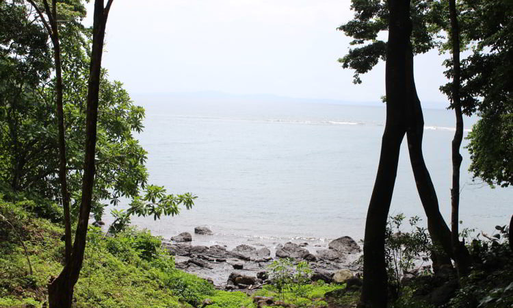 View of the ocean from the trees at Los Islotes, Panama