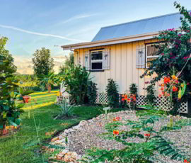 A beautiful house and garden in Carmelita Gardens, Belize