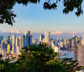 View Of The Skyline Of Panama City, Panama, Framed By Tropical Rain Forest.