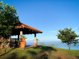 How To Miss Opportunities Overseas