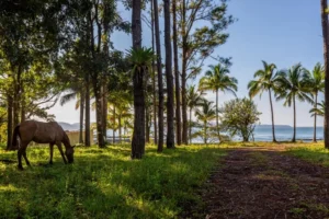 Panama’s Veraguas Province